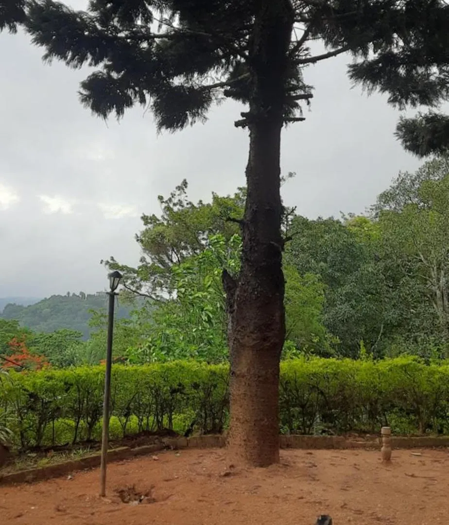 Uptown Villa Kandy 0*,